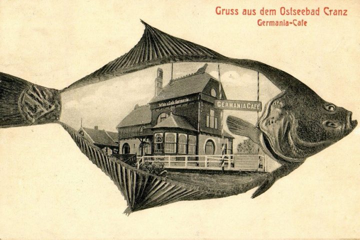 Как немецкая камбала стала русской золотой рыбкой