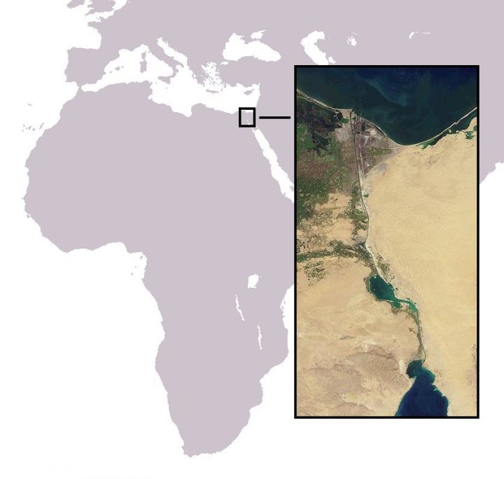 Карта, показывающая маршрут Лессепсианской миграции через Суэцкий канал из Индийско-Тихоокеанского региона в Средиземноморье. 