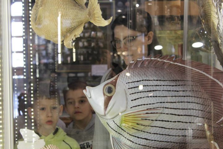 Музей Рыбы. Галерея